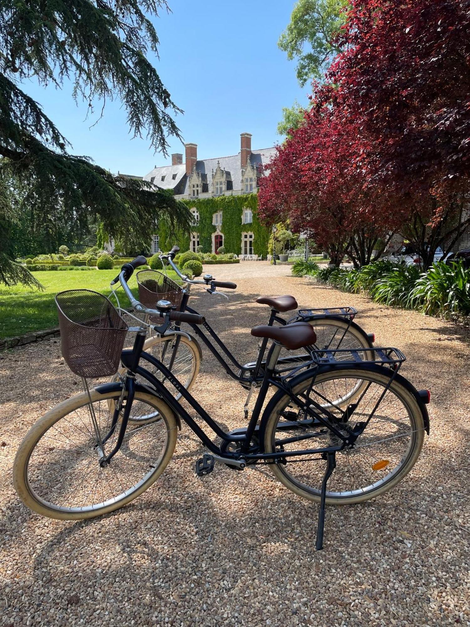 Chateau De L'Epinay Saint-Georges sur Loire エクステリア 写真