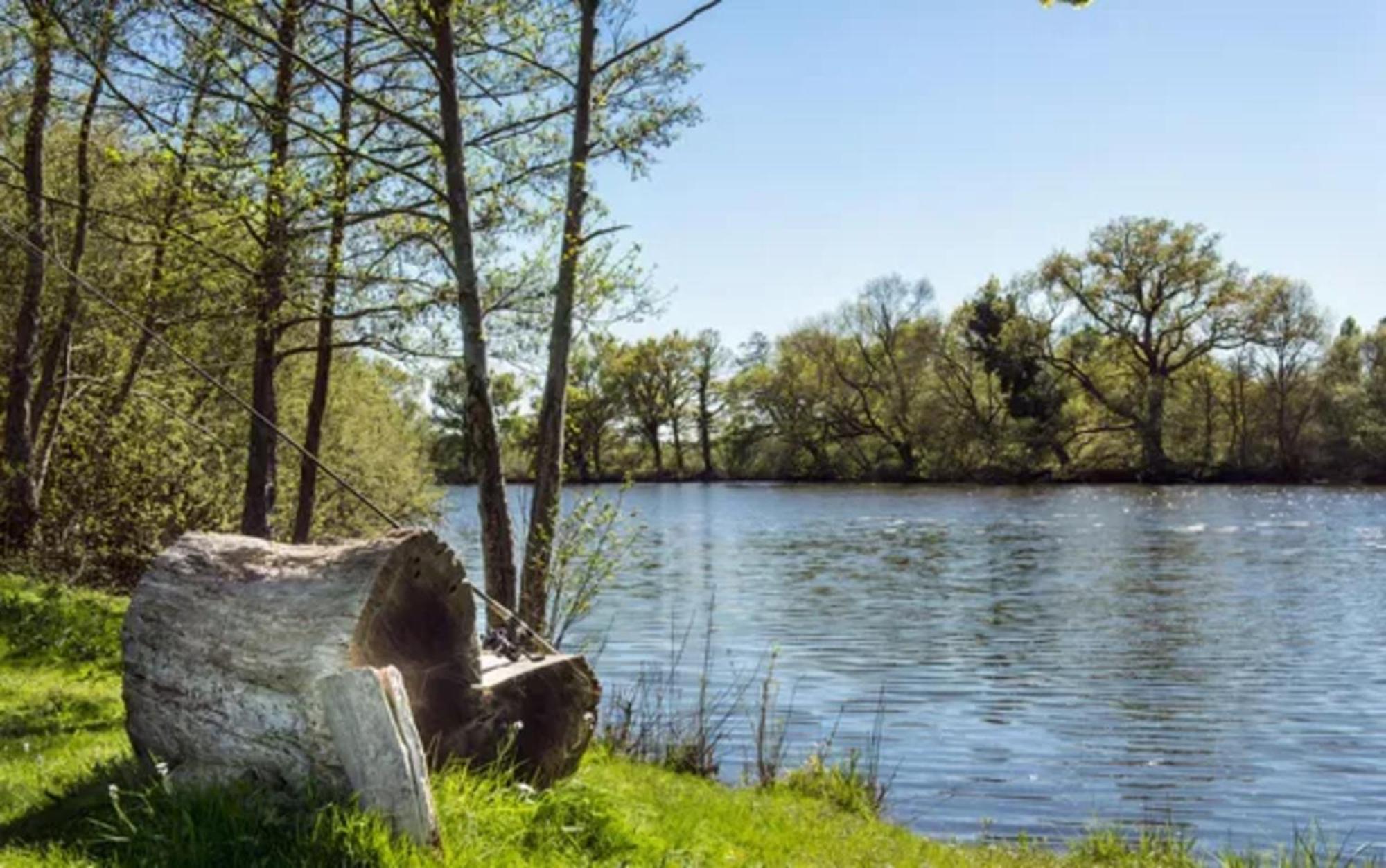 Chateau De L'Epinay Saint-Georges sur Loire エクステリア 写真